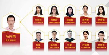 厦门网络科技新篇章 中共厦门又一城网络科技支部委员会正式成立