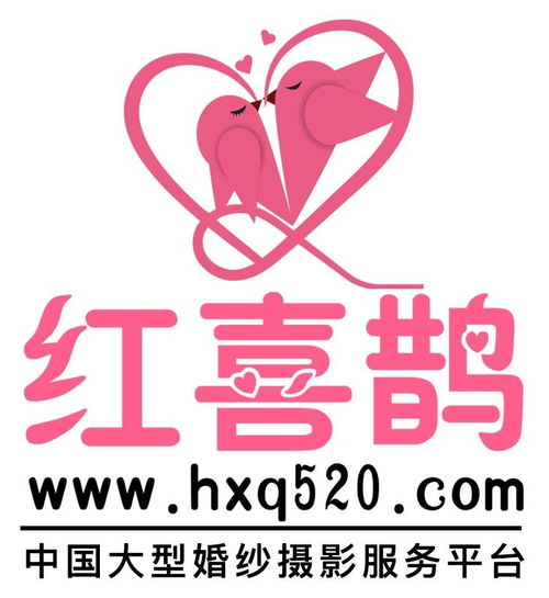 厦门网络科技 数字化浪潮中的创新先锋